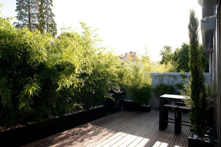 deco petit balcon plantes vertes