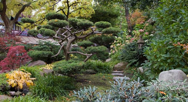 plante jardins zen