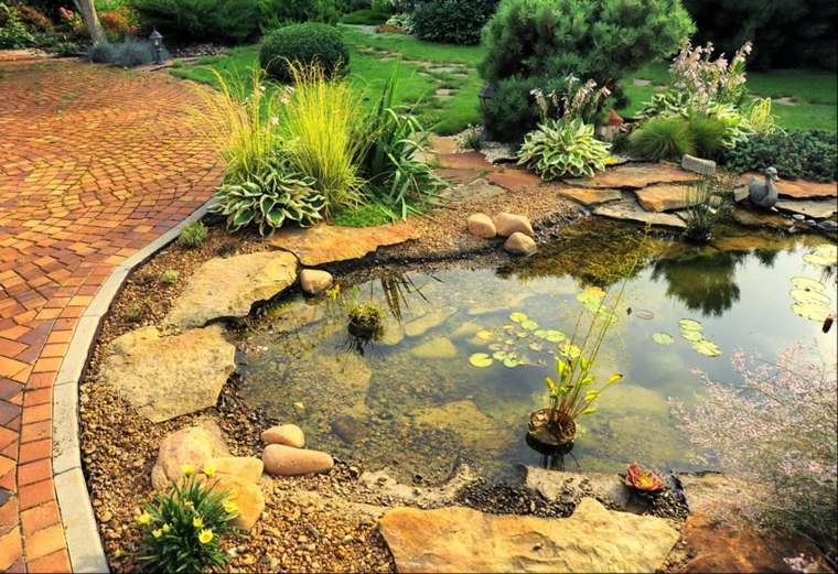 jardins aquatiques bassin pierre idée plantes déco