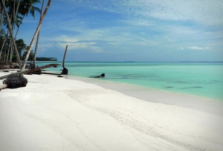 île déserte voyage idée plage sable blanc voyage palmes