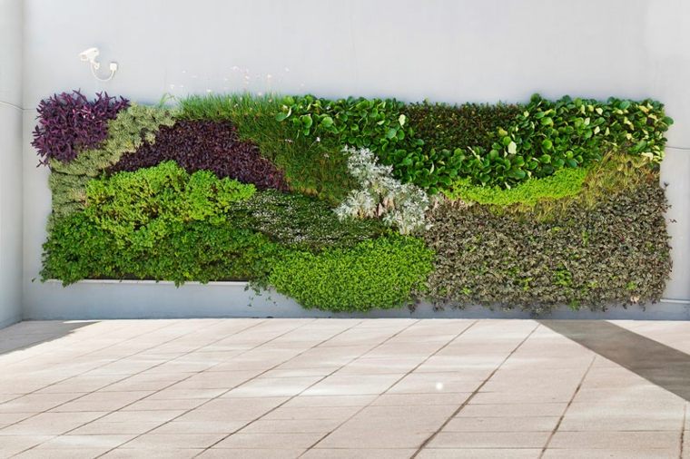 jardin vertical design exterieur