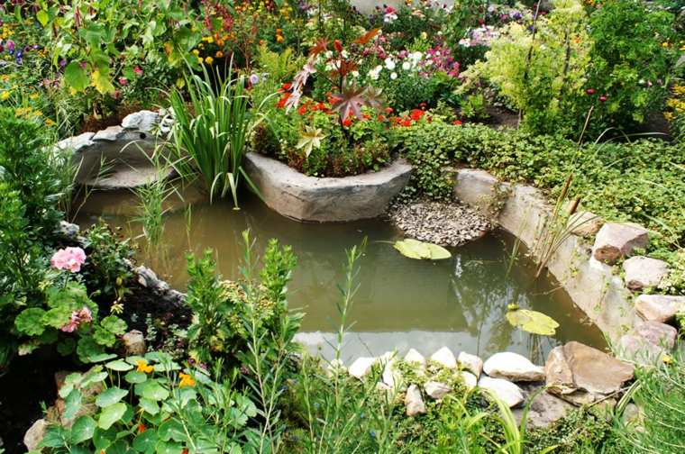 jardins aquatiques idée aménagement extérieur bassin pierre
