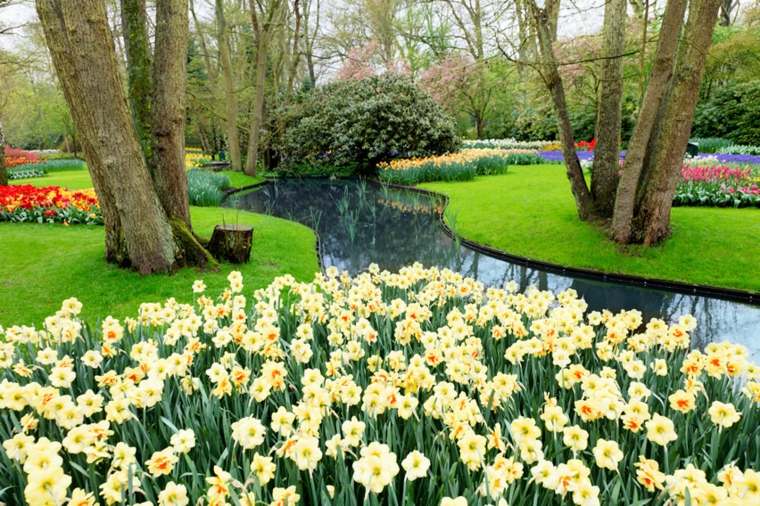 jardin contemporain moderne fleurs bassin