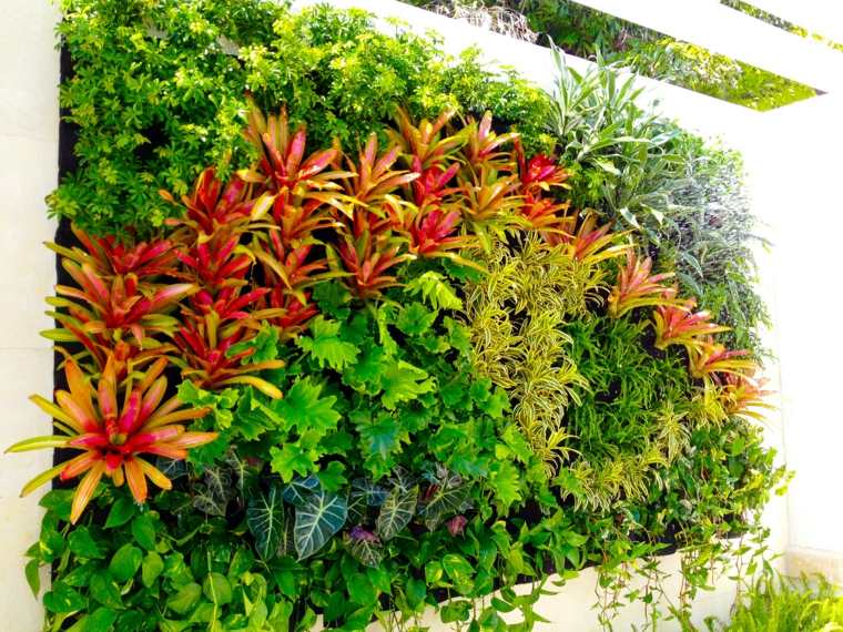plante les jardins suspendus verte