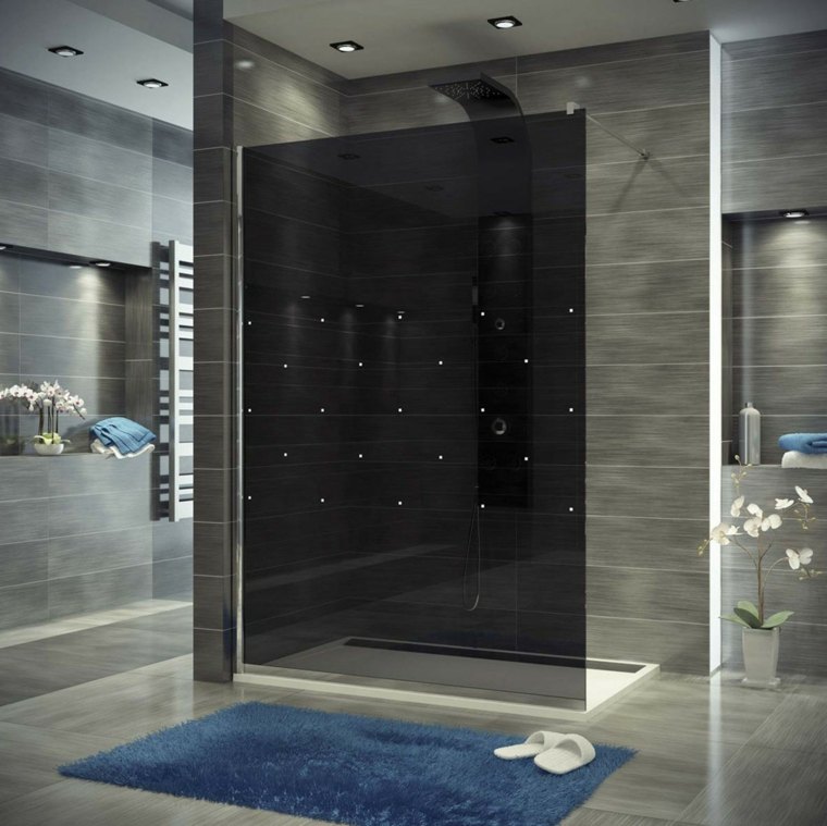 cabine de douche paroi salle de bain porte douche idée faux plafond