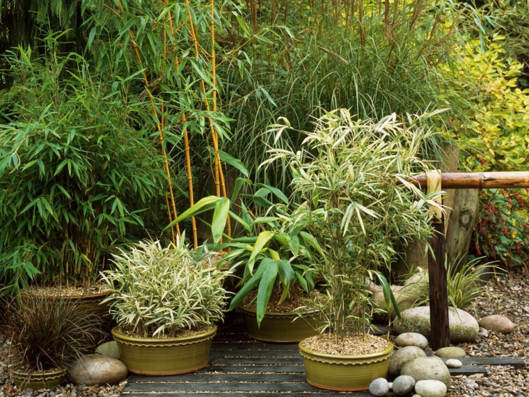 plantes exterieur jardins style japonais