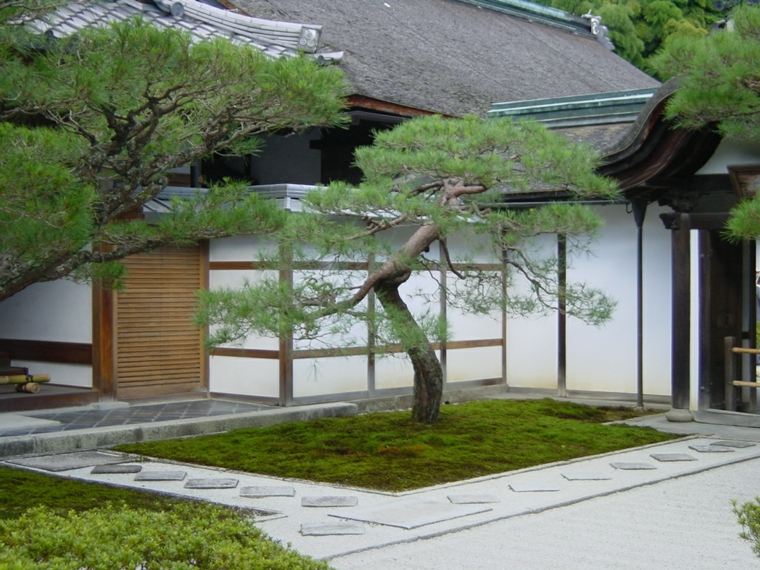 idee plantes jardin zen petits espaces