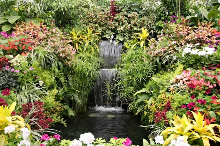 jardins aquatiques cascade jardin pierre végétaux