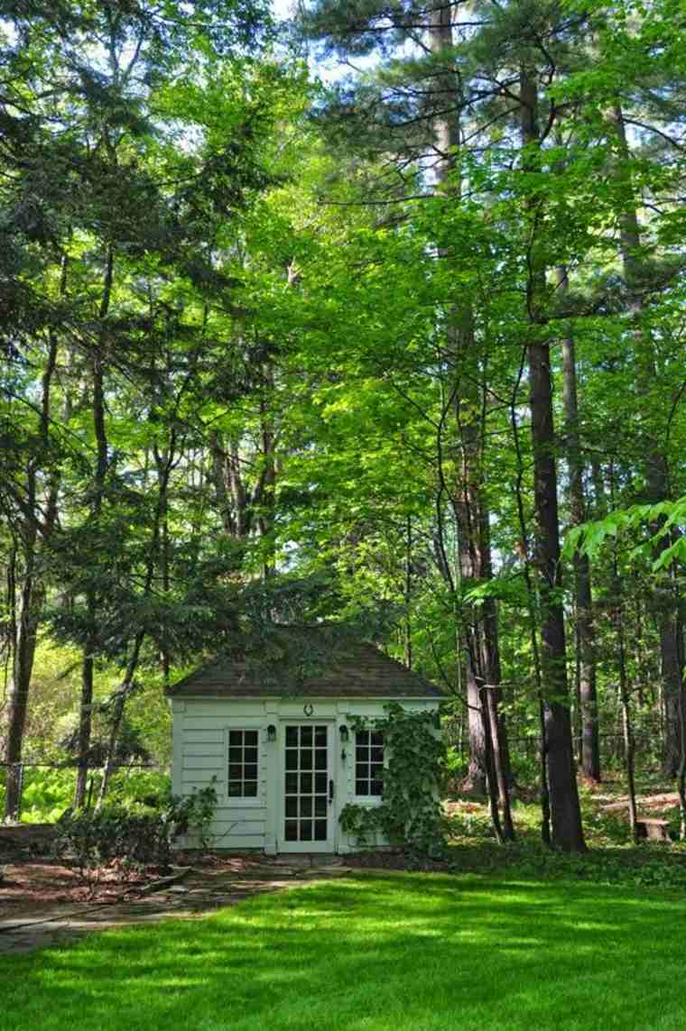 abri jardin bois idée rangement outils de jardin extérieur moderne forêt maison