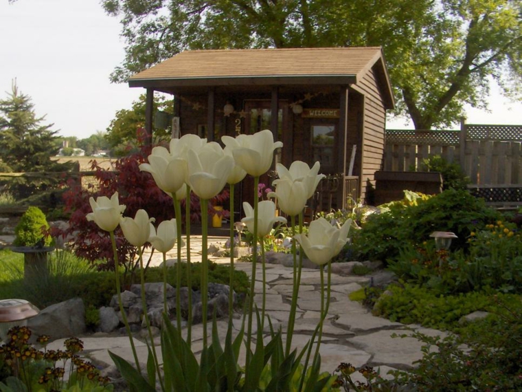 abri de jardin en bois terrasse aménagement idée extérieur moderne fleurs déco pierre chemin