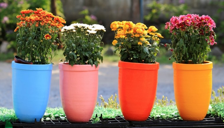 conseils jardinage fleurs pots design
