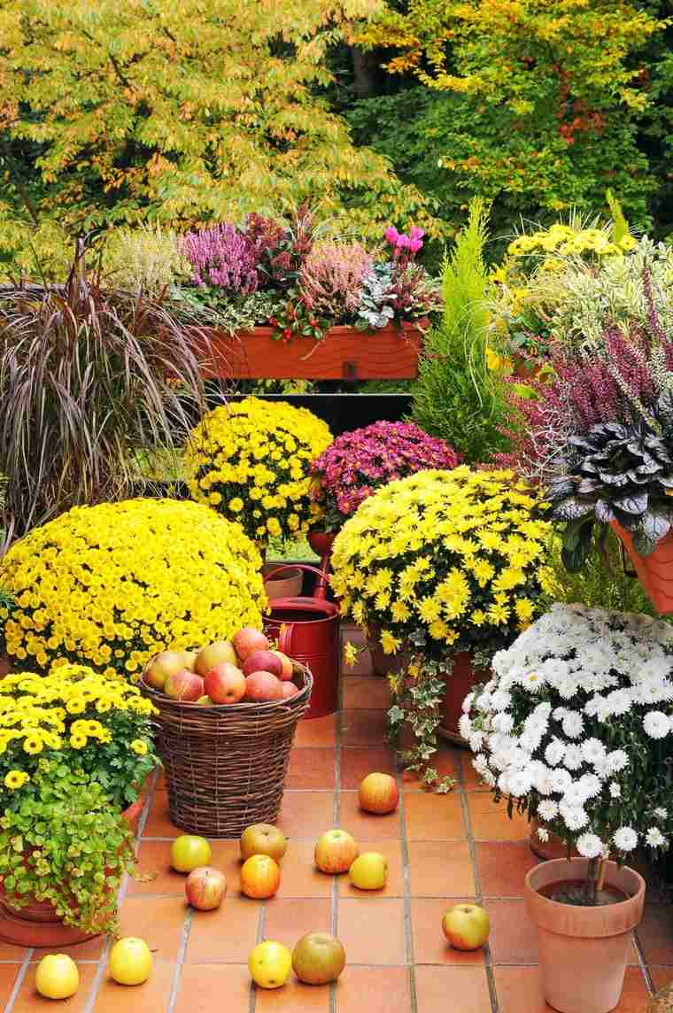 deco terrasse fleurs pots