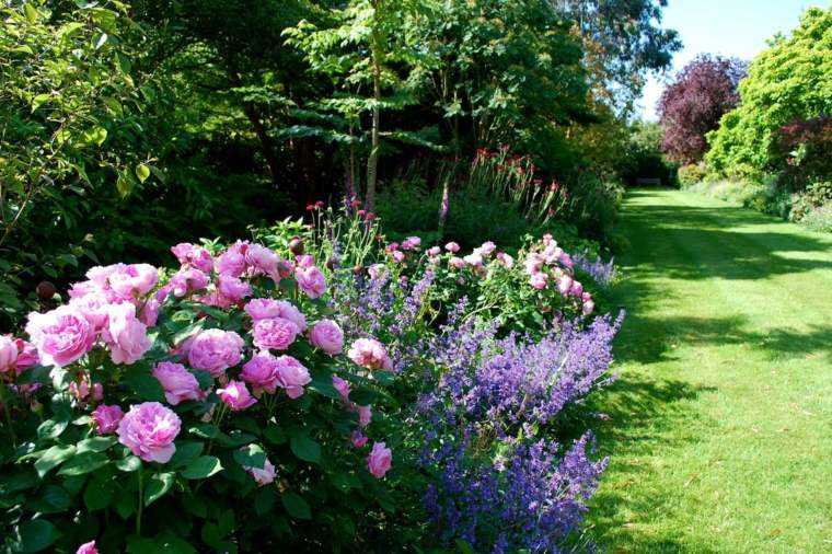 idée deco jardin anglais fleurs