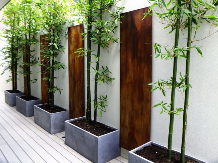 jardin contemporain deco bambou