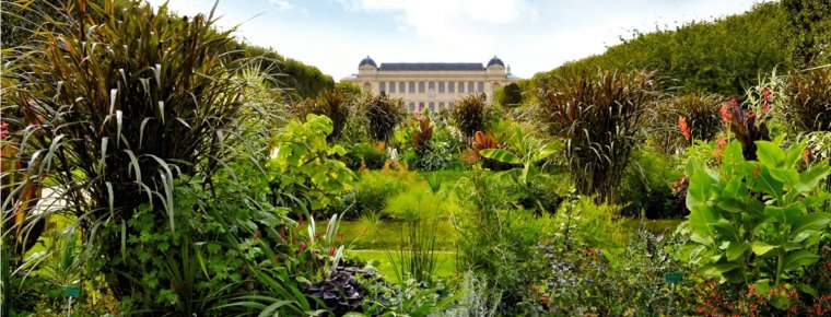 jardin plantes visite paris botanique plante 