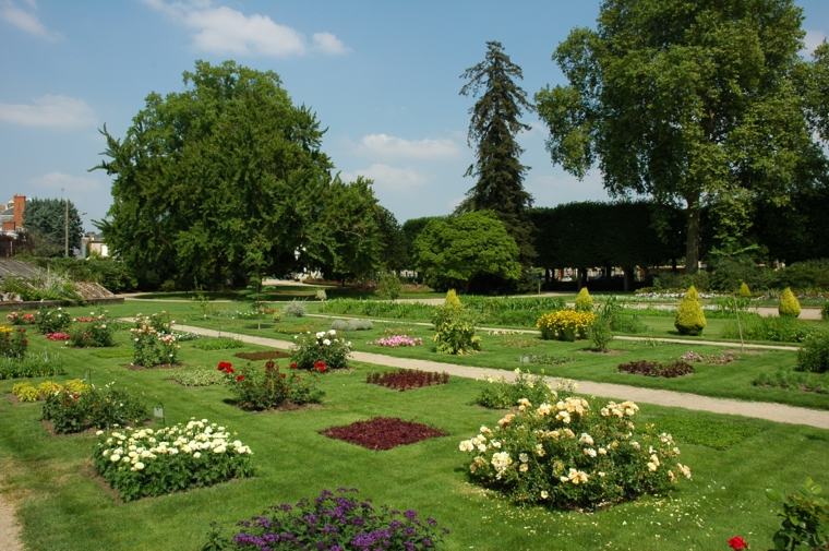nature paris visite jardin botaniques fleurs arbuste 