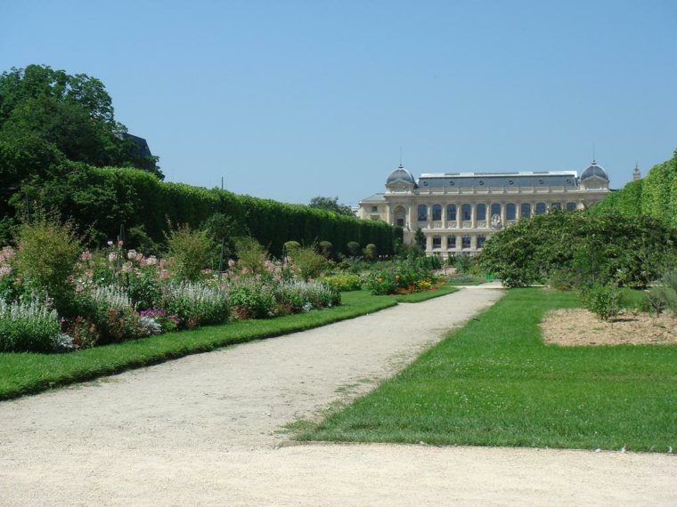 jardins des plantes paris visite idée 