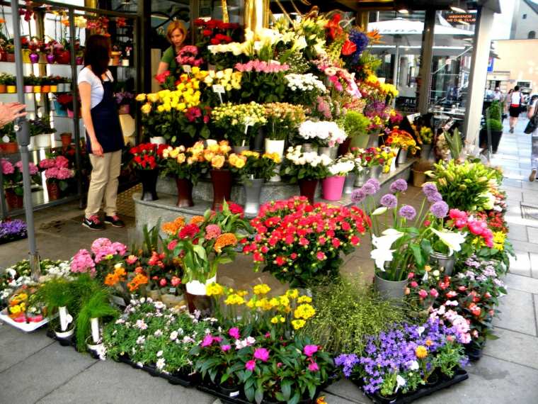 magasin fleurs offrir bouquet signification fleurs symbolique