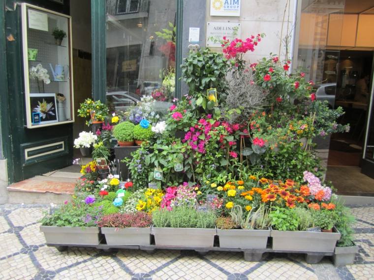 magasin fleurs lisbonne symbolique idée bouquet de fleurs pots de fleurs 