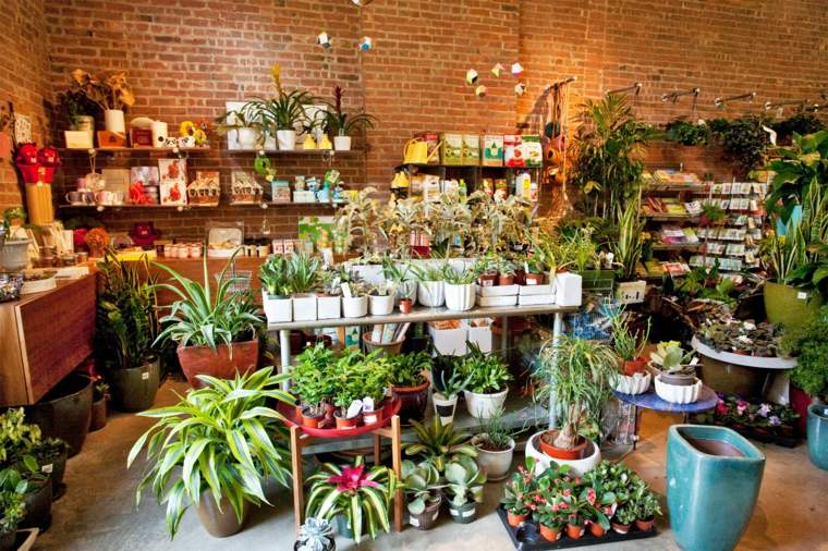 magasin fleurs new york offrir fleurs symbolique idée pots de fleurs 