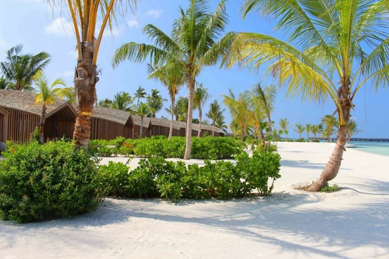 maldives hôtel luxe panneaux solaires