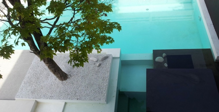 mini jardin deco zen piscines modernes