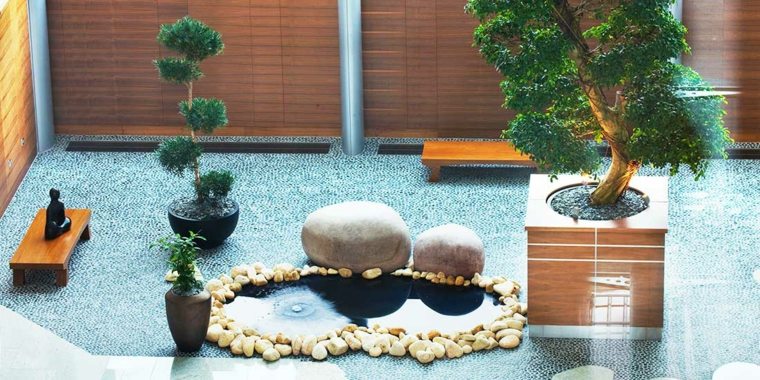 bonsai petit jardin zen