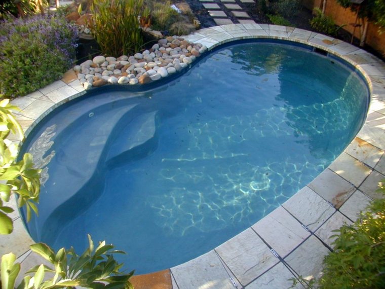 petit jardin zen piscine moderne
