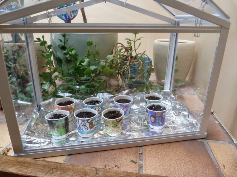 serre de jardin verre diy idée métal verre brico