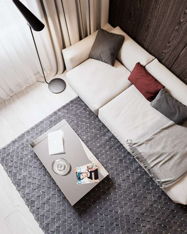 appartement design moderne intérieur coussin canapé table basse tapis de sol gris design minimaliste
