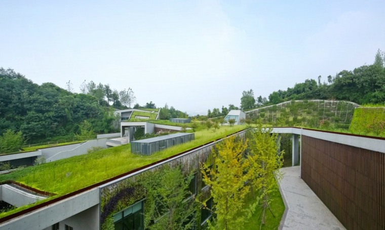 espaces verts jardins toitures modernes