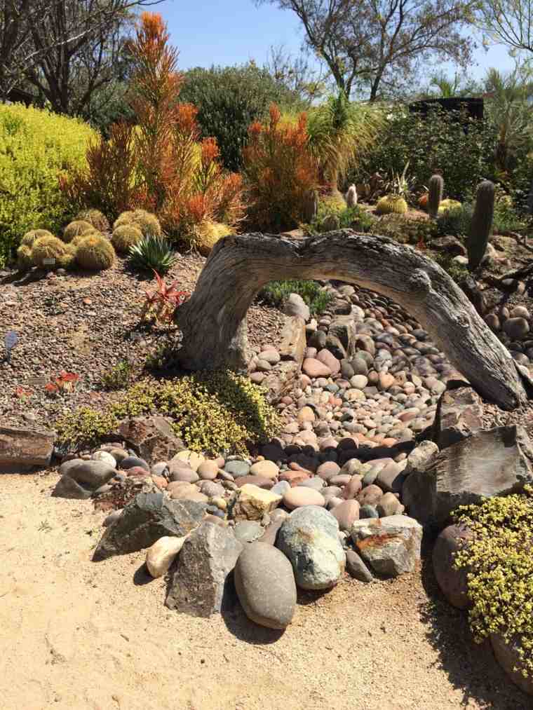 jardin alpin plantes cactus