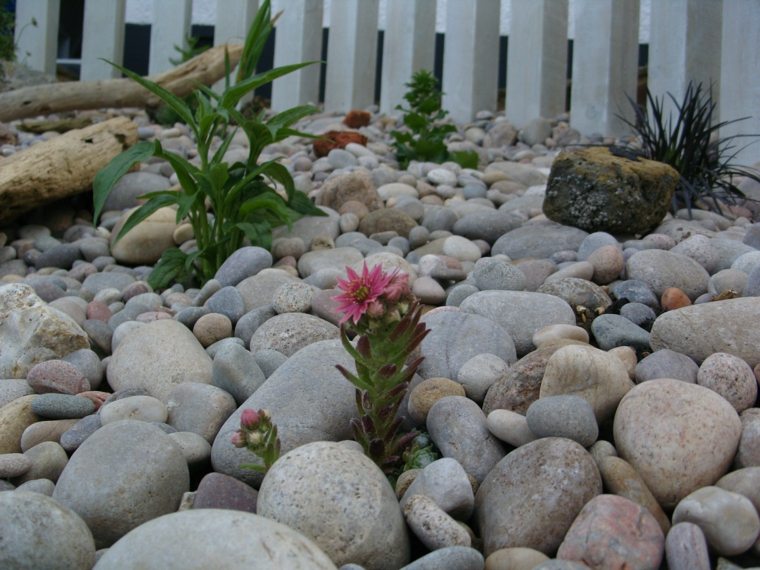 jardin de rocaille design pierres idées fleurs 
