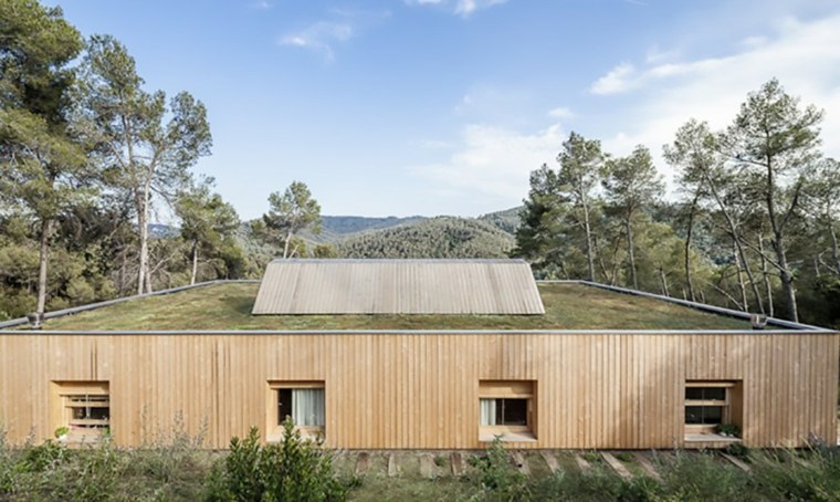 maison bois toit vegetation
