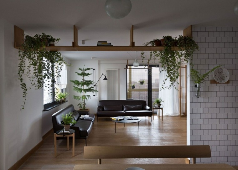 plantes vertes maison decoration moderne
