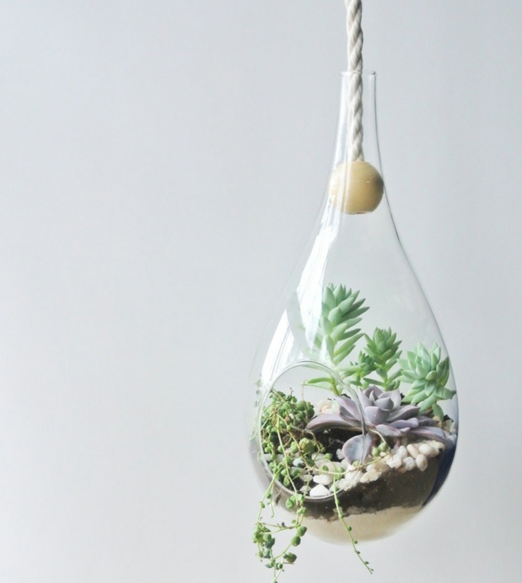 pot en verre élégant design idée moderne suspension pot de fleurs thezensucculent