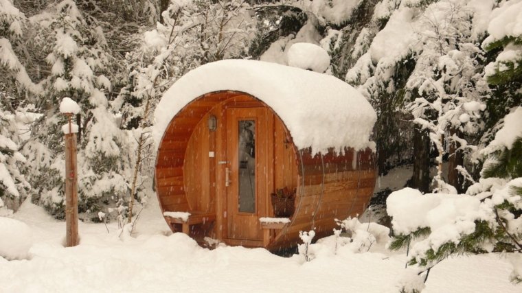 sauna exterieur style chalet