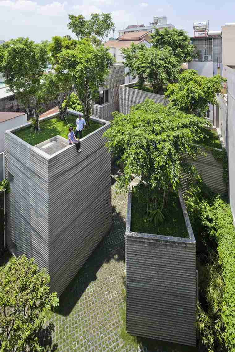 immeuble toit terrasses vegetalisees