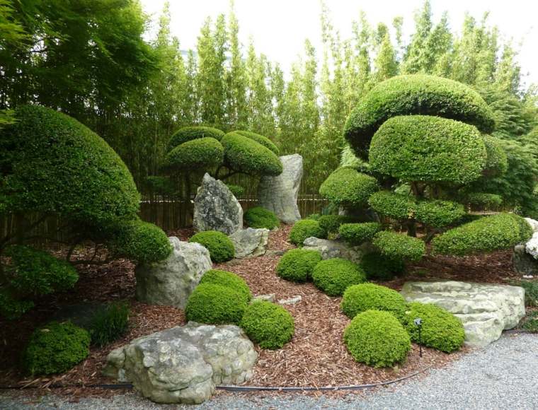 déco jardin zen arbres miniatures