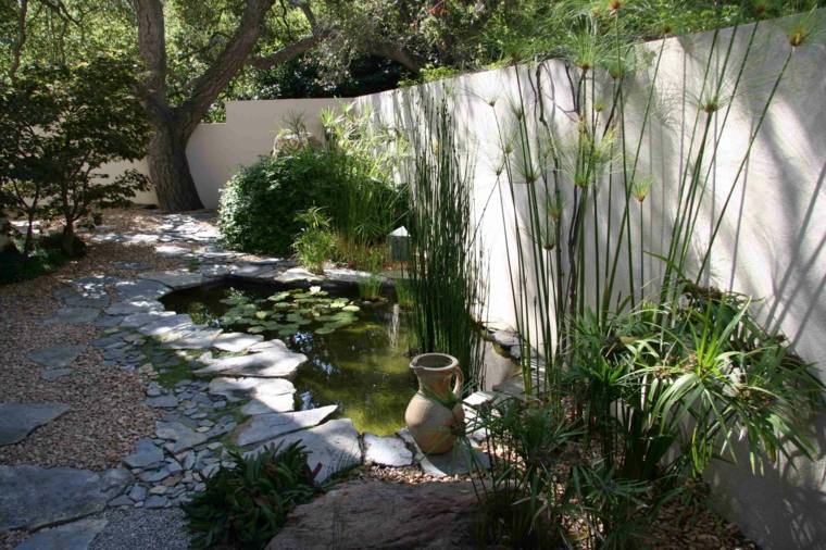 jardin etang eau design