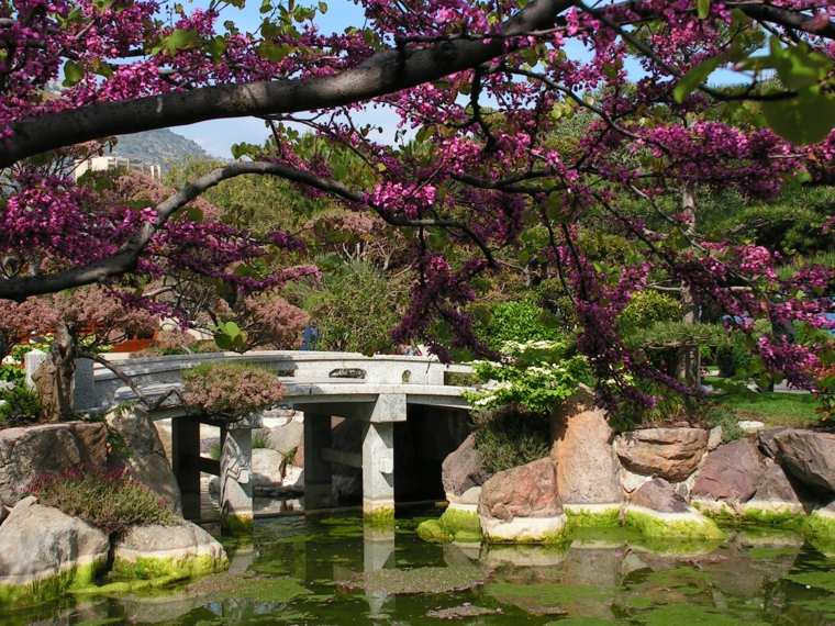 jardin japonais design moderne