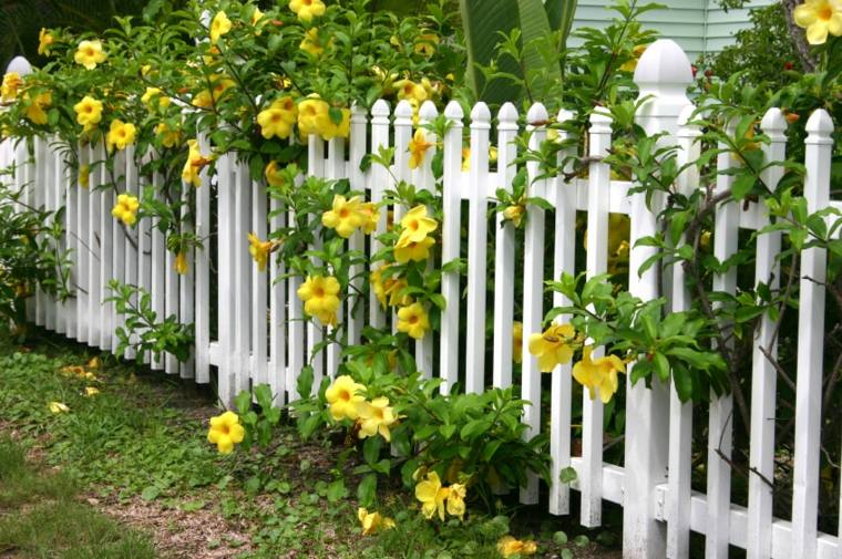 clôture en bois blanche idée extérieur jardin barrière