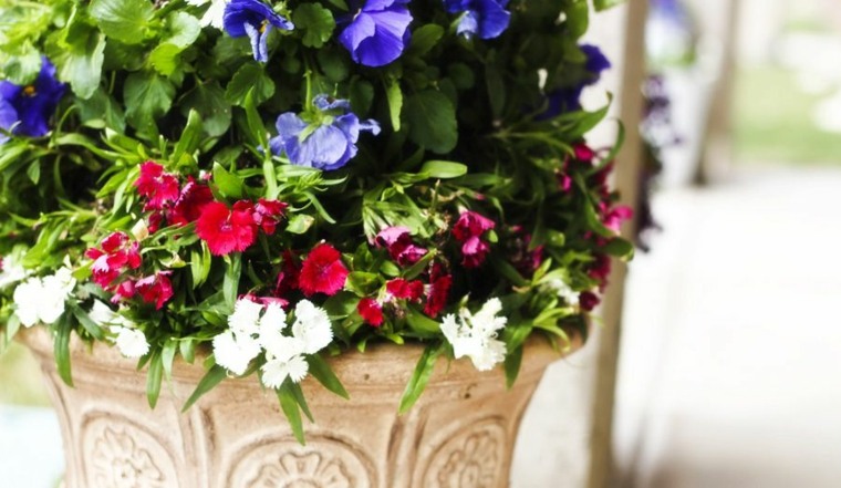 conseils jardinage fleurs en pot exterieur