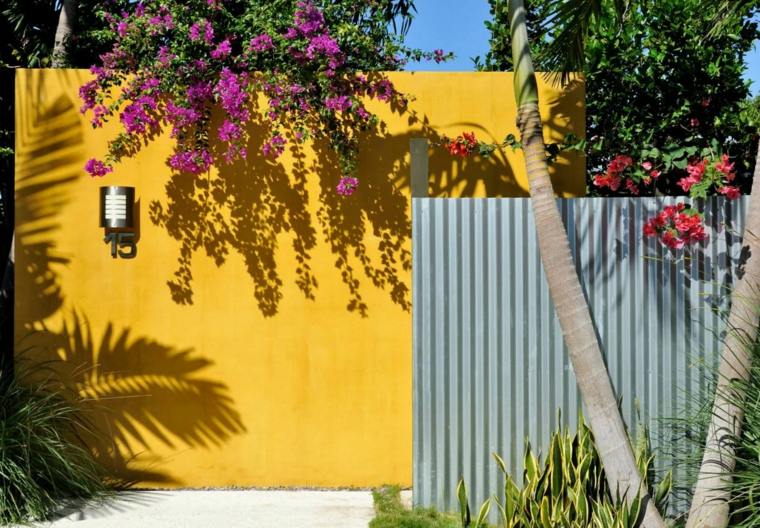 déco mur extérieur jardin couleur peinture plante grimpante 