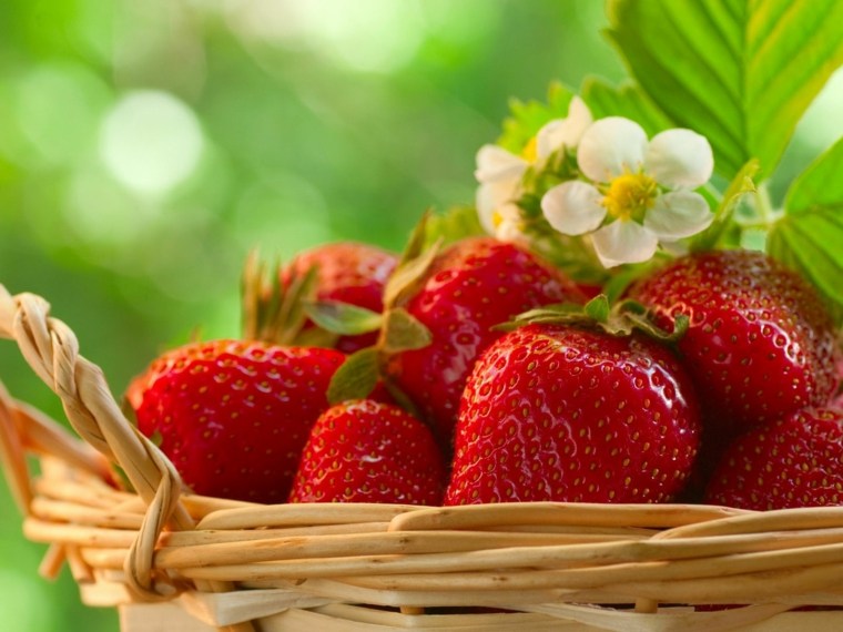 fraisier en pot amenagement jardin potager