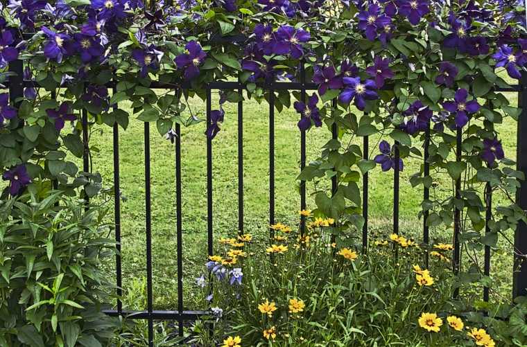 clôture métal jardin idée occultation espace extérieur tendance 