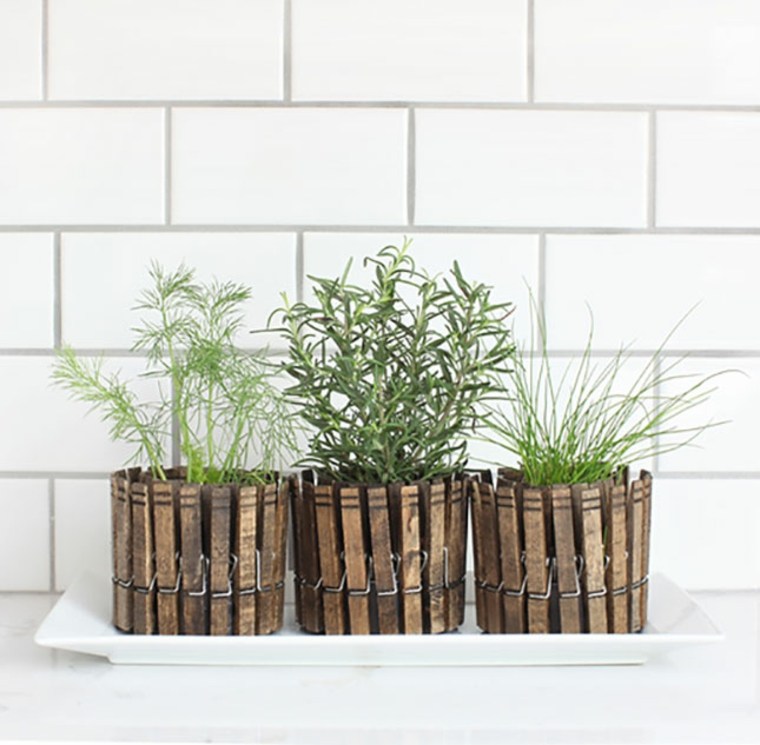 idée DIY plantes d'intérieur avec pinces linge