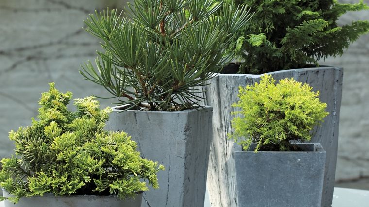 jardinière béton haute design moderne terrasse
