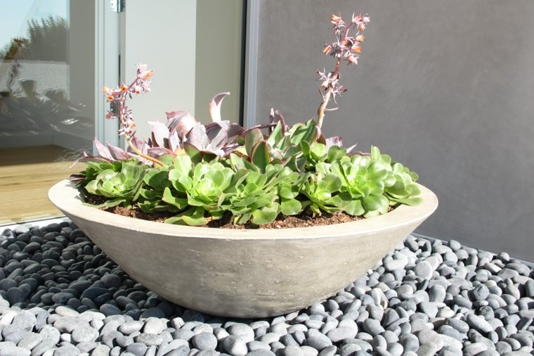 jardiniere ronde plante decoration exterieur zen 