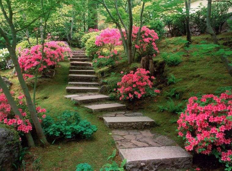 jardins japonais allées plantes modernes